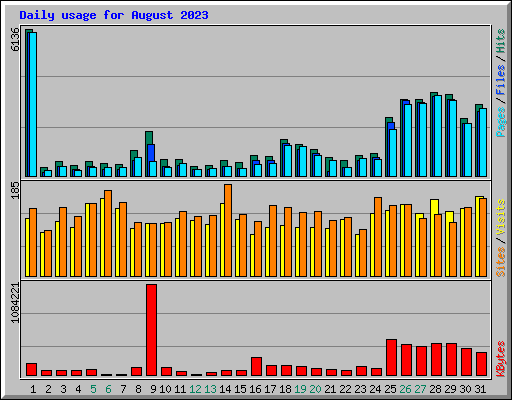Daily usage for August 2023