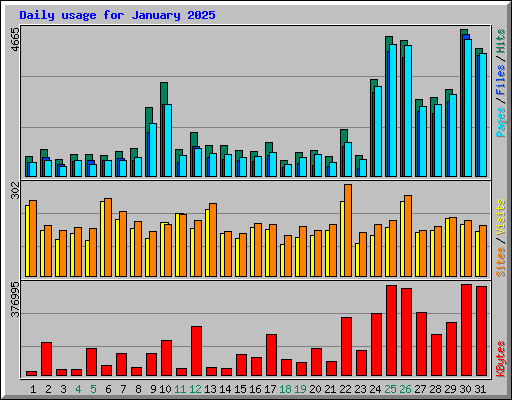 Daily usage for January 2025