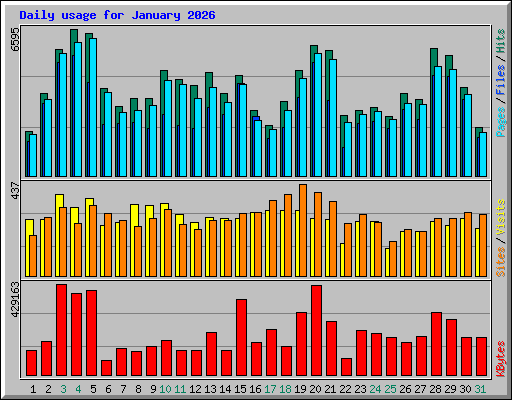 Daily usage for January 2026