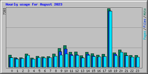 Hourly usage for August 2023