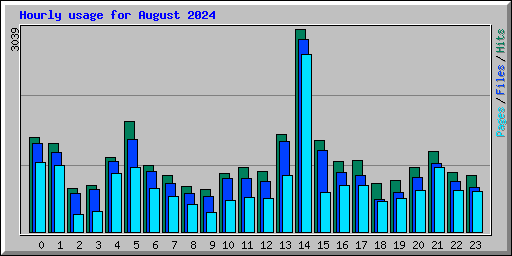 Hourly usage for August 2024