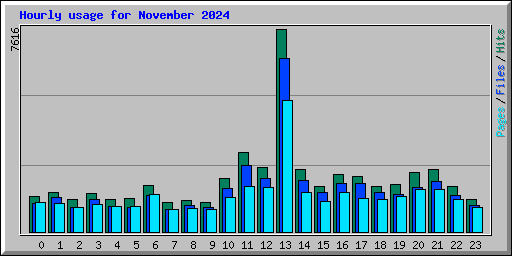 Hourly usage for November 2024