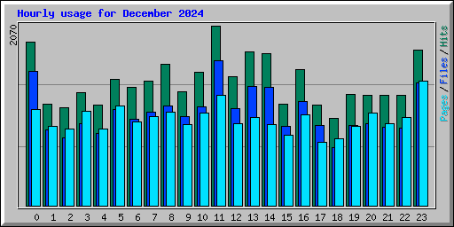 Hourly usage for December 2024