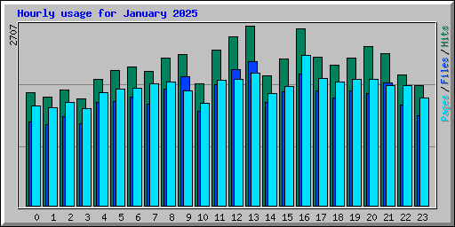 Hourly usage for January 2025