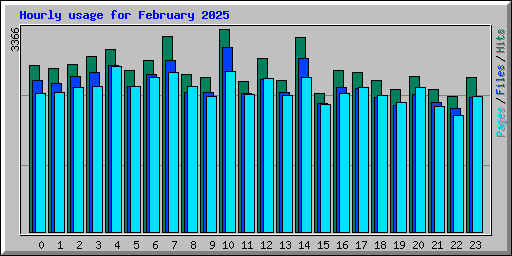 Hourly usage for February 2025