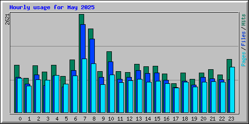 Hourly usage for May 2025