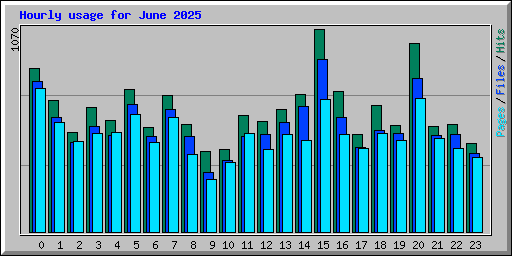 Hourly usage for June 2025