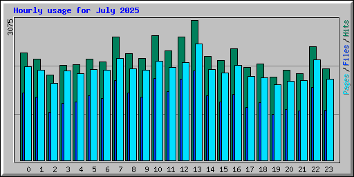 Hourly usage for July 2025