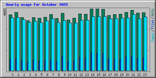 Hourly usage for October 2025