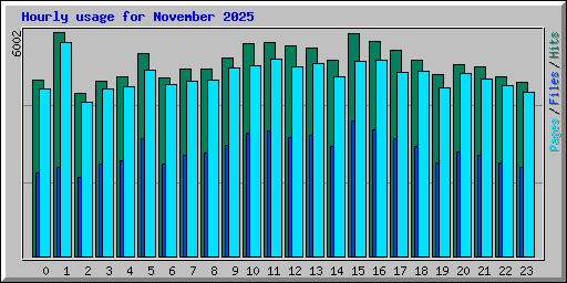 Hourly usage for November 2025