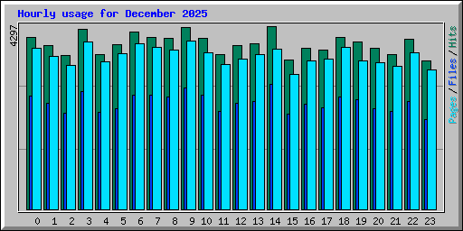 Hourly usage for December 2025
