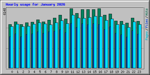 Hourly usage for January 2026